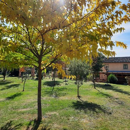 Sassomatto B&B Bioagriturelax Campogialli Экстерьер фото