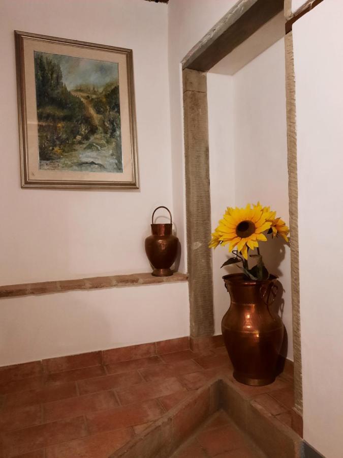 Sassomatto B&B Bioagriturelax Campogialli Экстерьер фото